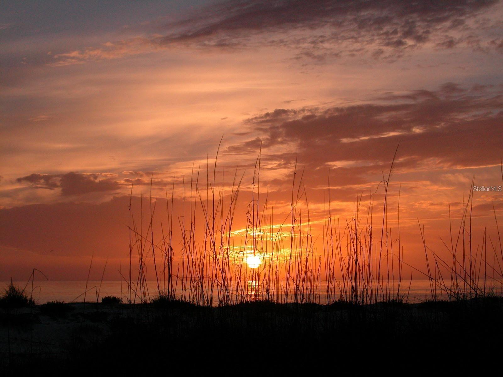 Image 71 of 72 For 380 Gulf Of Mexico Drive 525