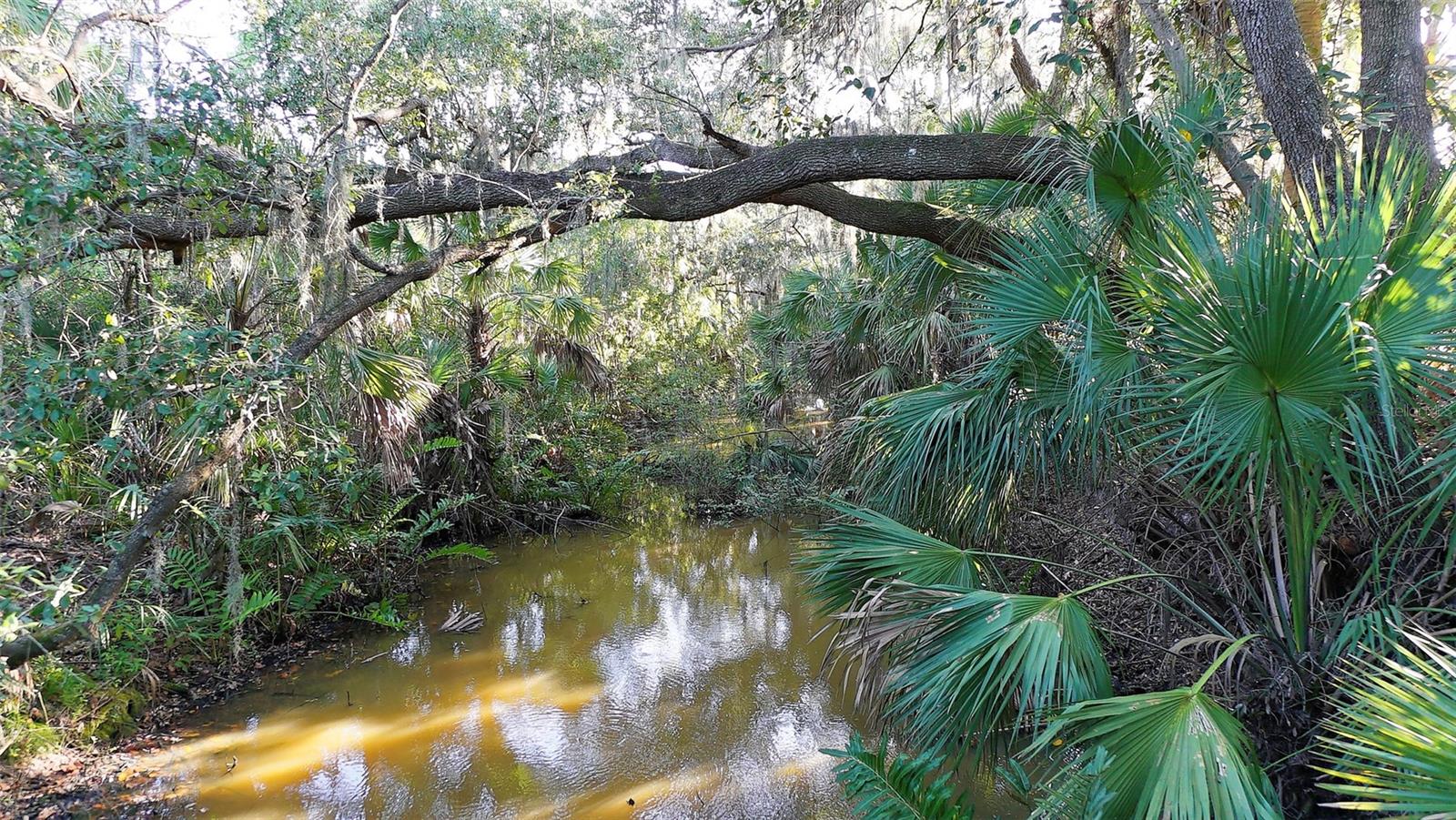 Image 86 of 88 For 770 Egret Walk Lane