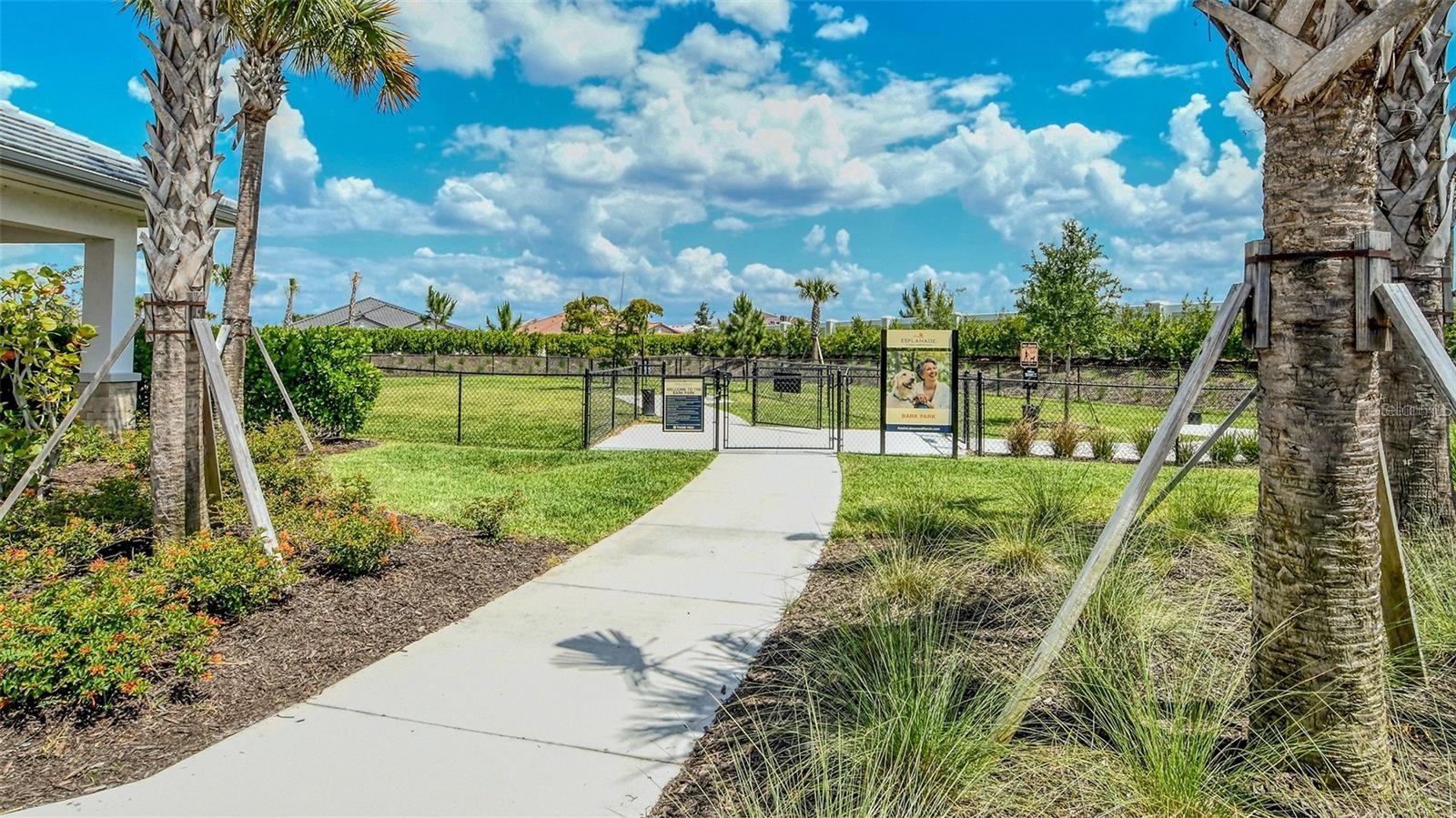 Image 62 of 93 For 16415 Isola Place