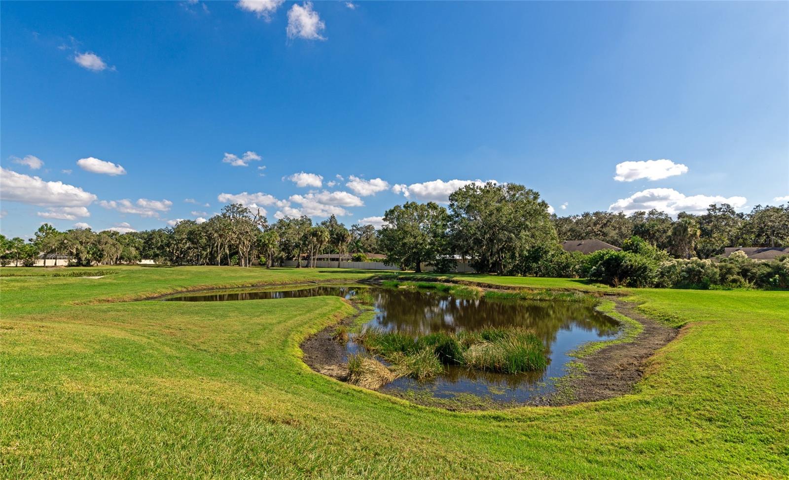 Image 99 of 100 For 7315 Bianco Duck Court