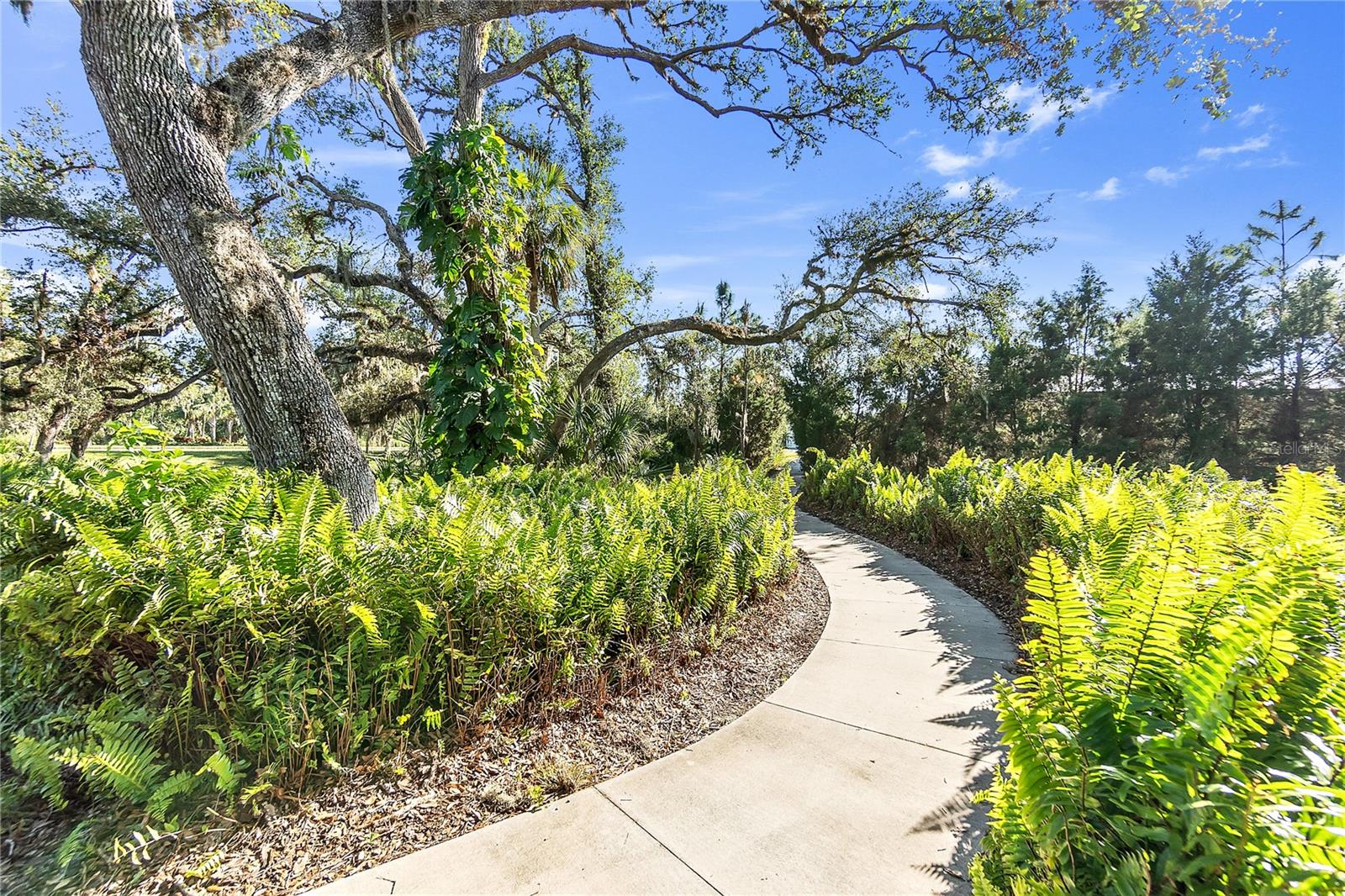 Image 82 of 95 For 11816 Altamonte Court