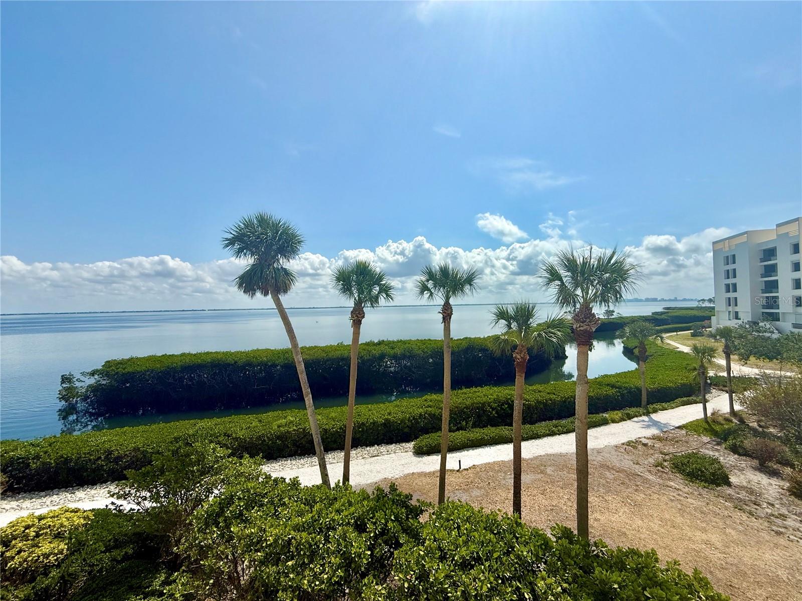 Image 63 of 64 For 2110 Harbourside Drive 526