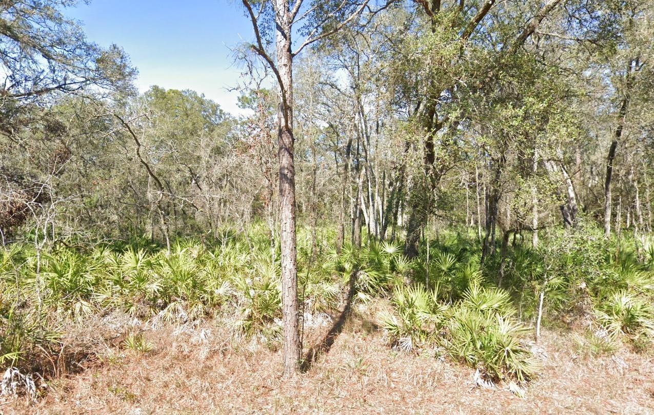 Details for Lot 17 Overcup Drive, WEBSTER, FL 33597