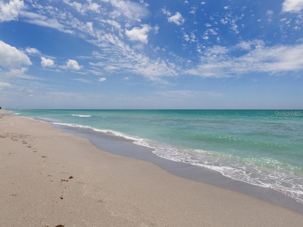 Image 42 of 43 For 104 Capri Isles Boulevard 112