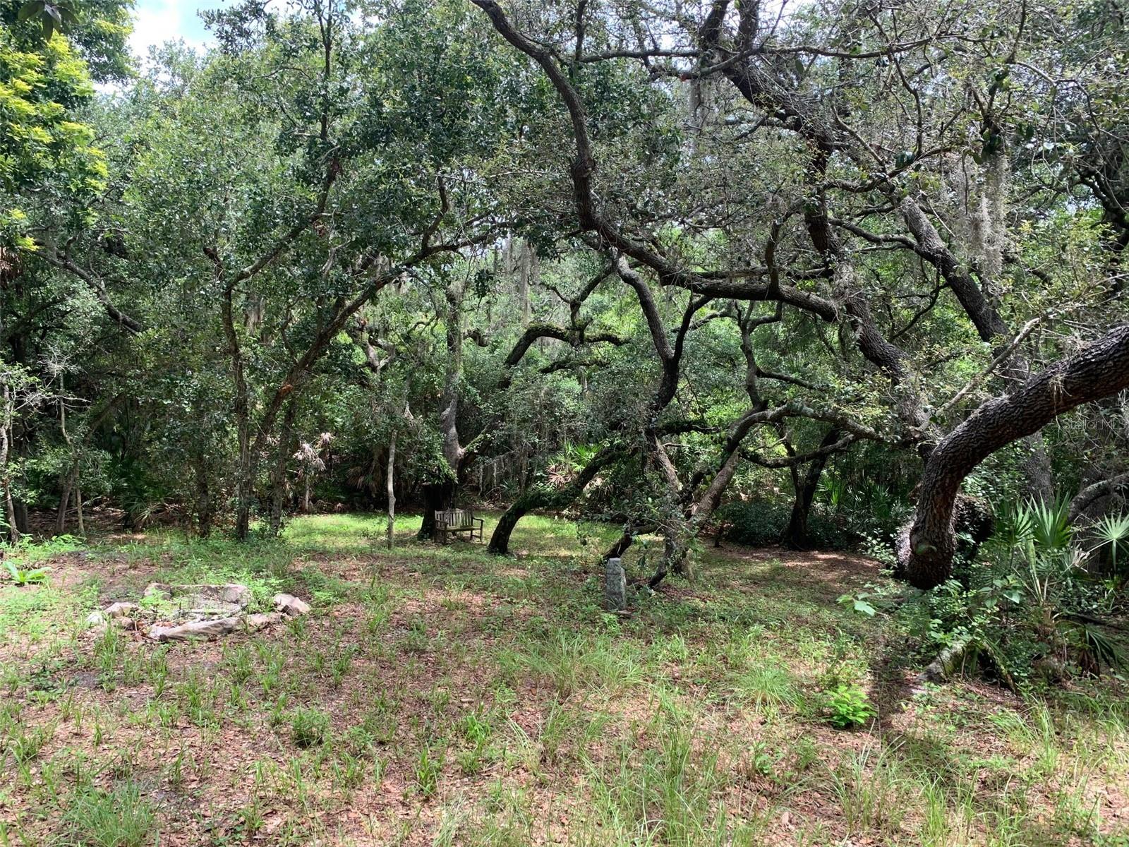 Image 88 of 91 For 1101 Anclote Boulevard