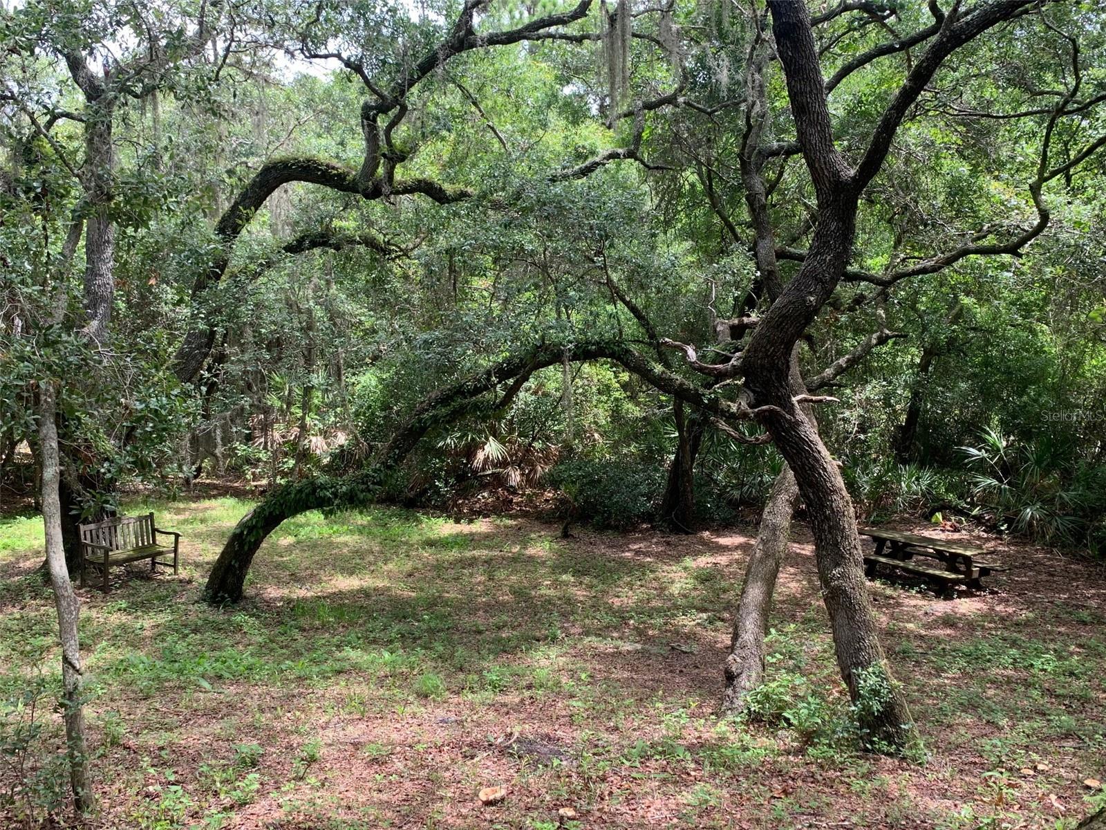 Image 89 of 91 For 1101 Anclote Boulevard