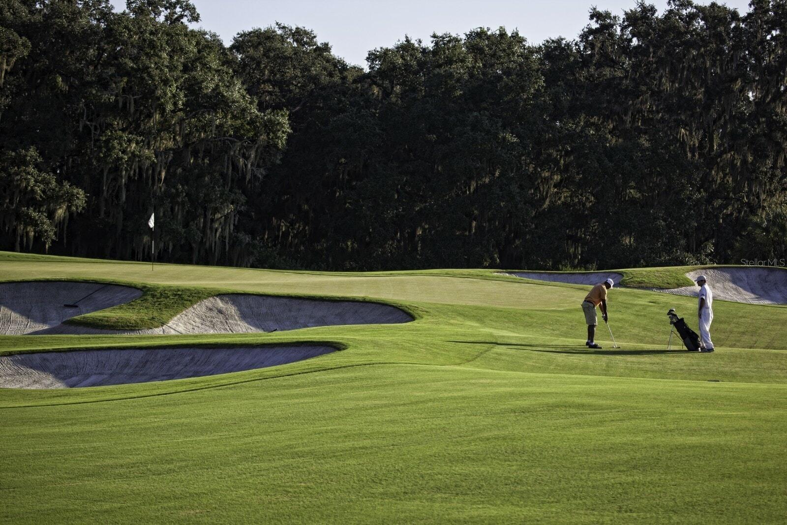 Image 87 of 96 For 3123 Founders Club Drive