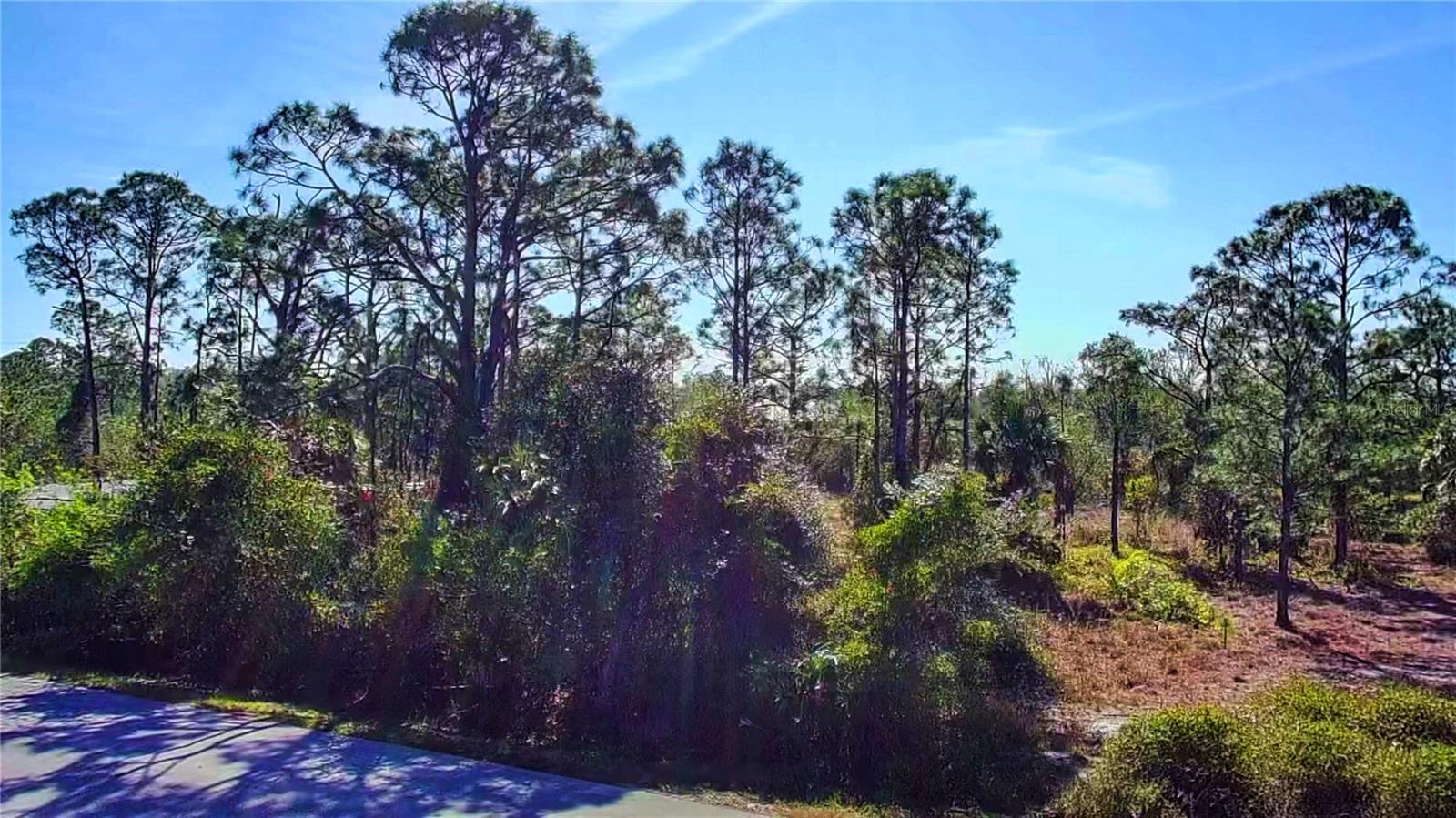 Image 8 of 13 For 27051 Capistrano Drive