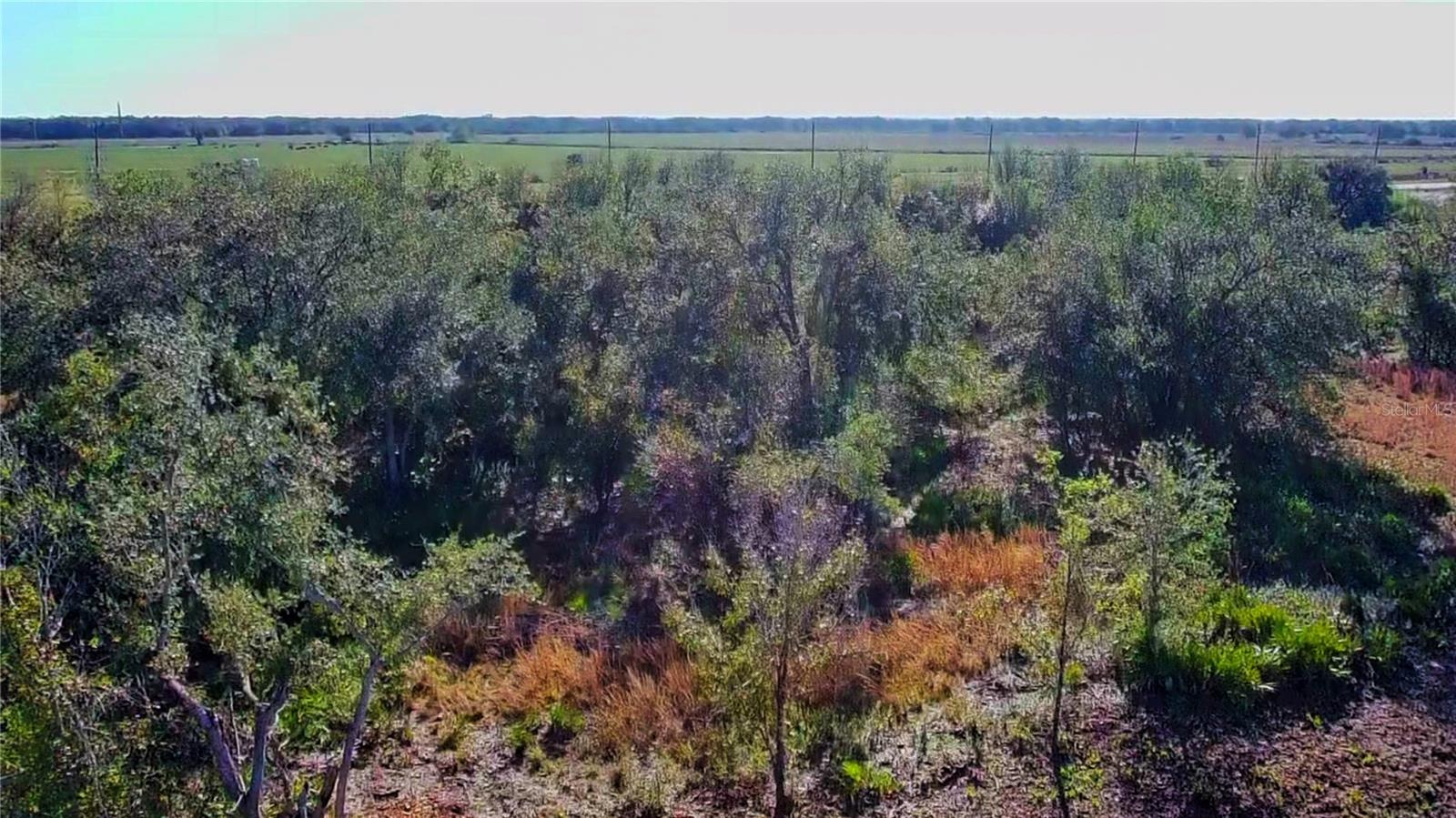 Image 5 of 10 For 69 Duncan Road