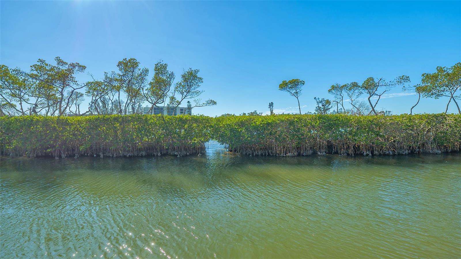 Image 62 of 78 For 3371 Bayou Sound