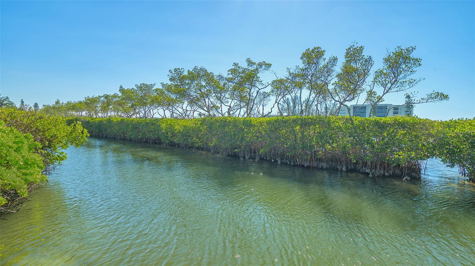 Image 63 of 78 For 3371 Bayou Sound