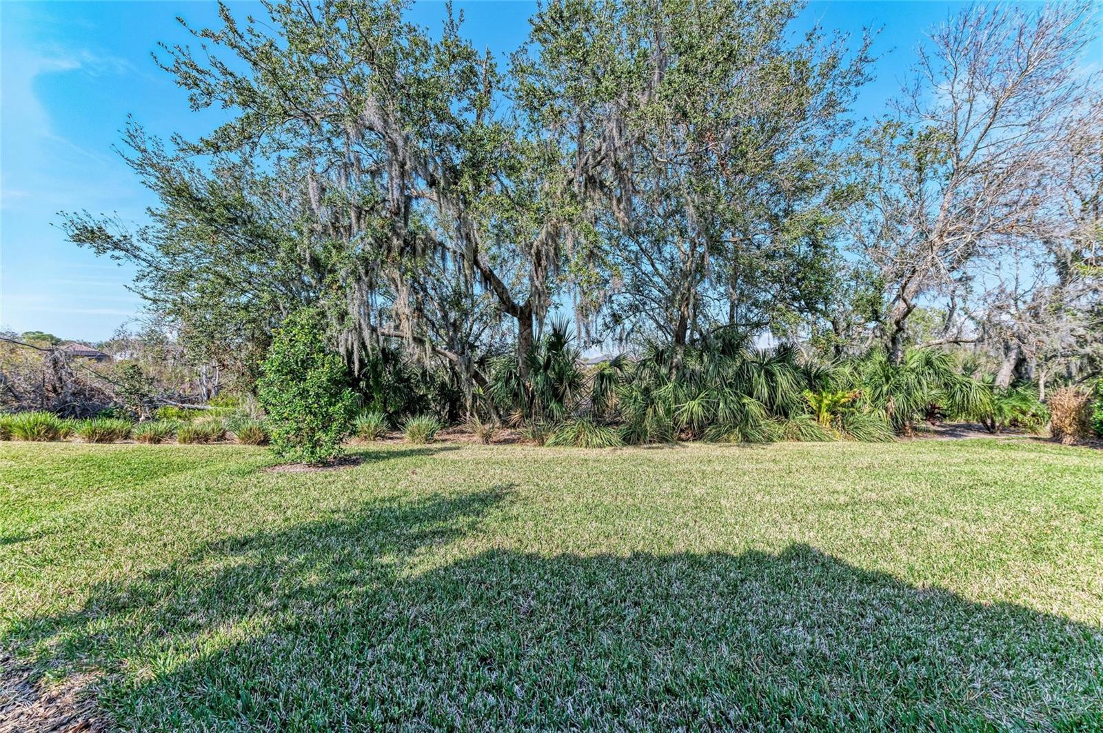 Image 49 of 61 For 5406 Morey Farms Loop