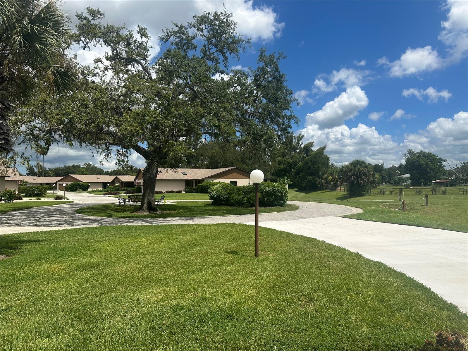 Image 42 of 50 For 1817 Curry Avenue 57