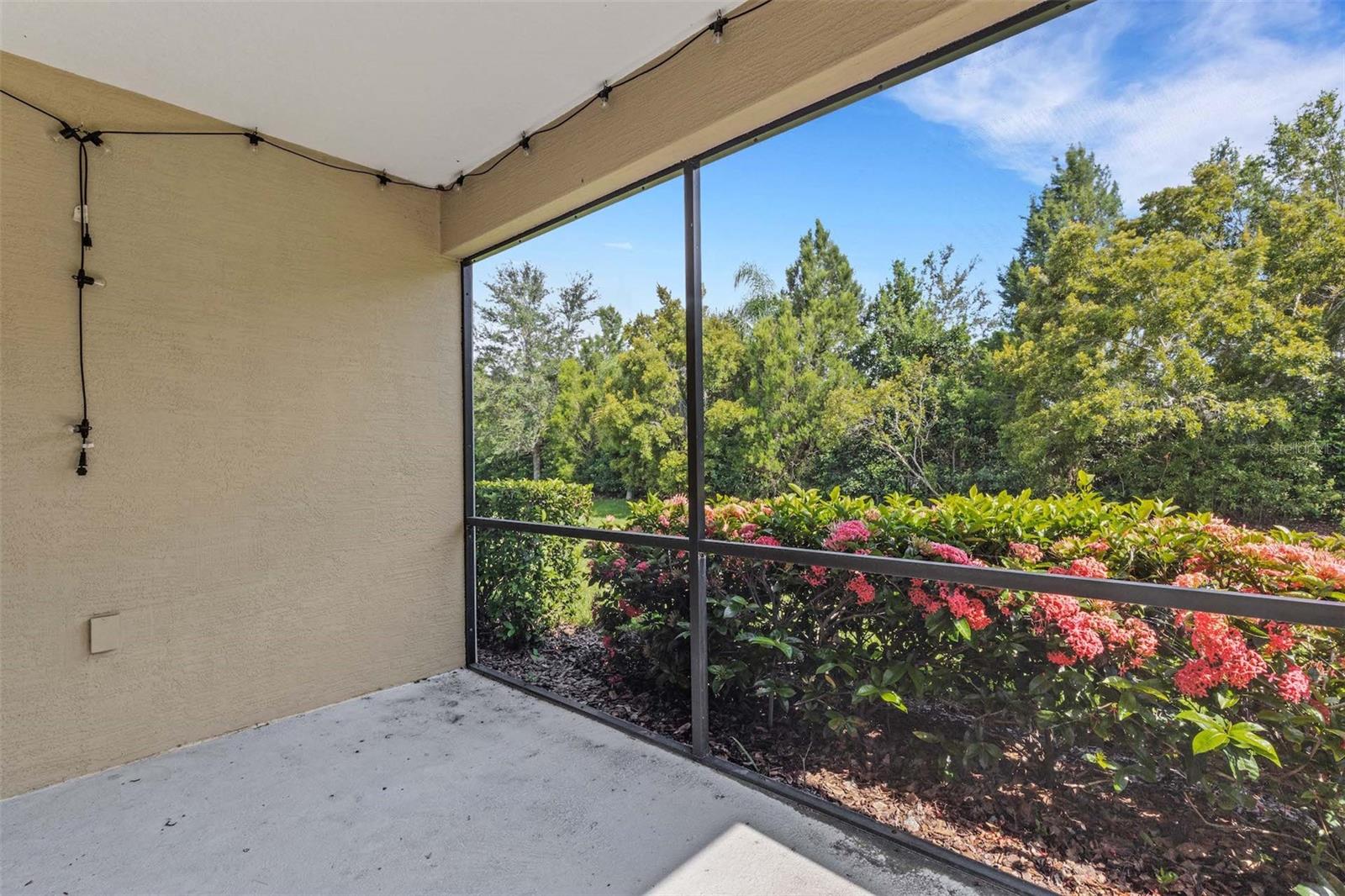 Listing photo id 33 for 11804 Sawgrass Lake Terrace