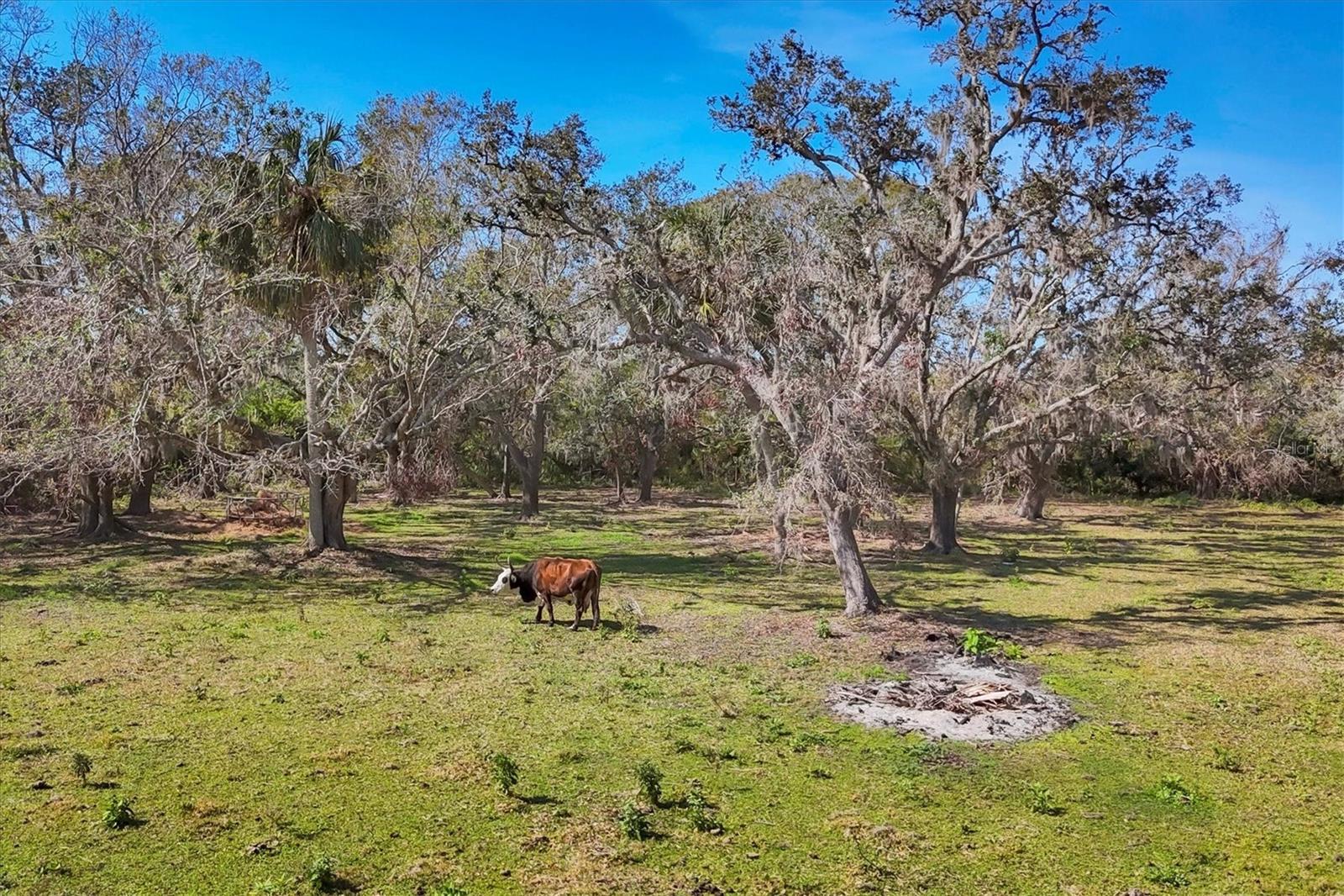 Image 37 of 52 For 14204 Upper Manatee River Road