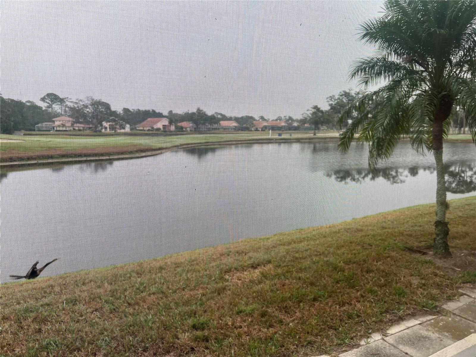 Image 8 of 8 For 7211 Country Club Drive N 135