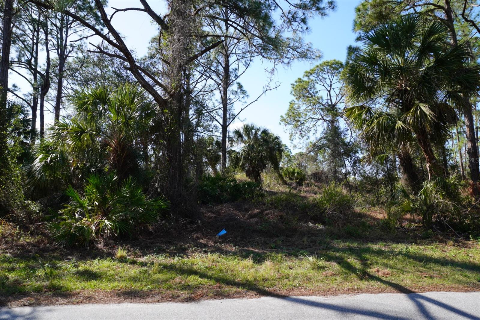 Details for Gravelmann Road, NORTH PORT, FL 34291