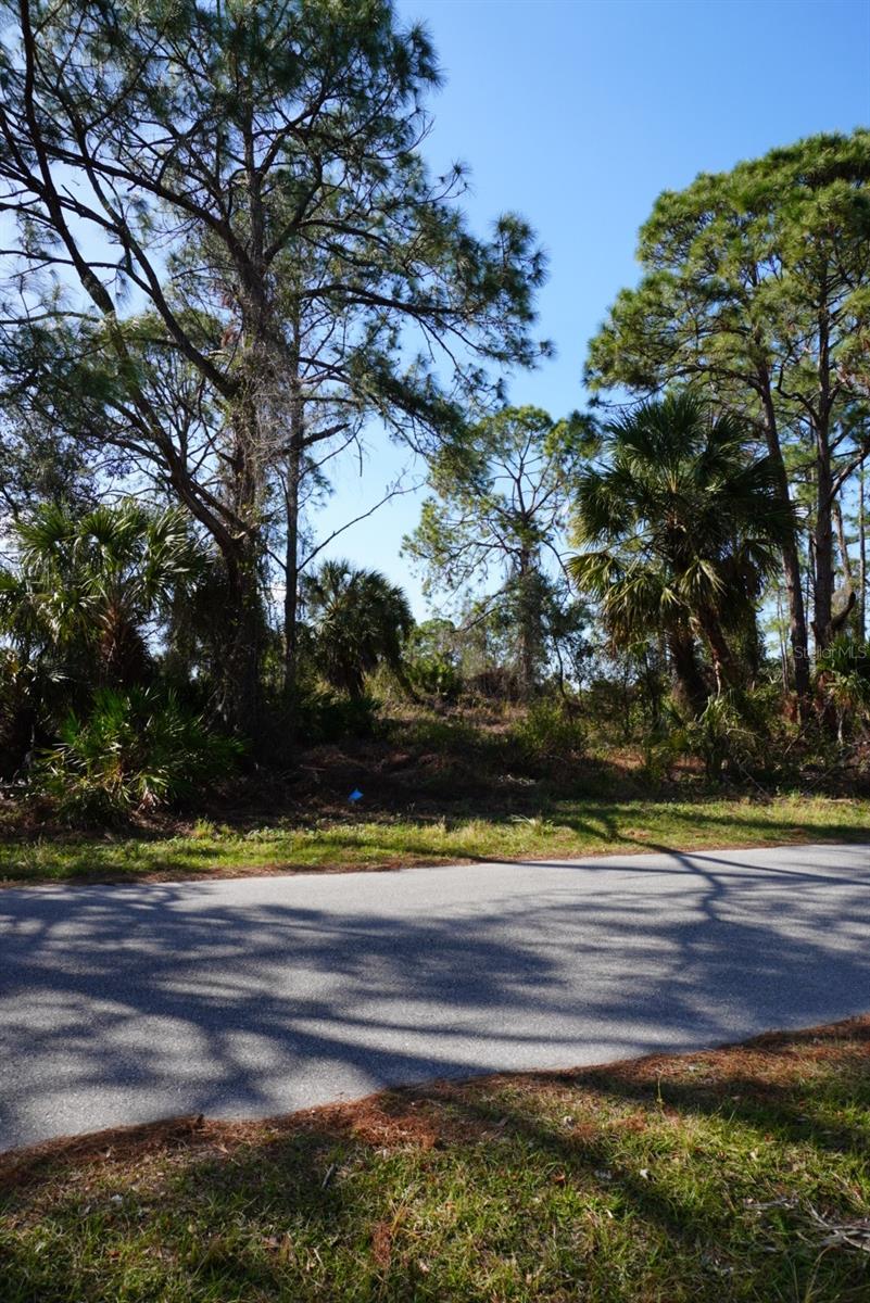 Image 4 of 5 For Gravelmann Road