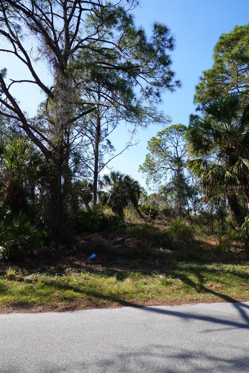 Image 5 of 5 For Gravelmann Road