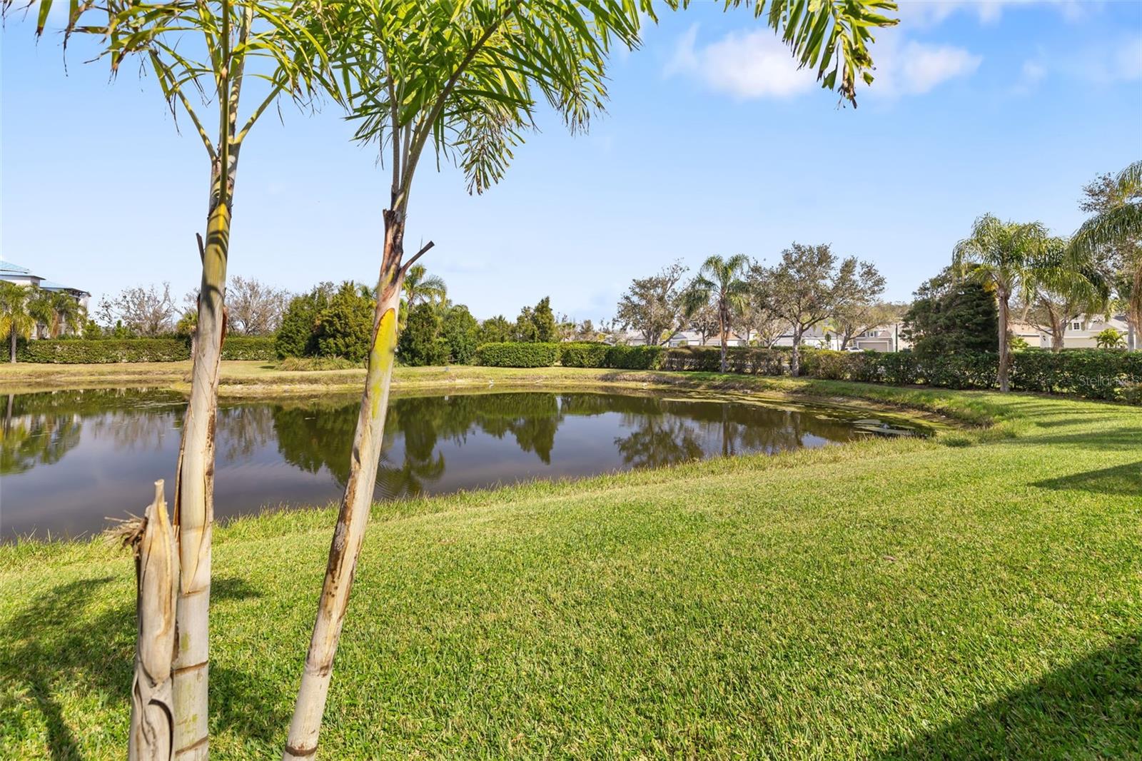 Listing photo id 32 for 12019 Sawgrass Lake Terrace