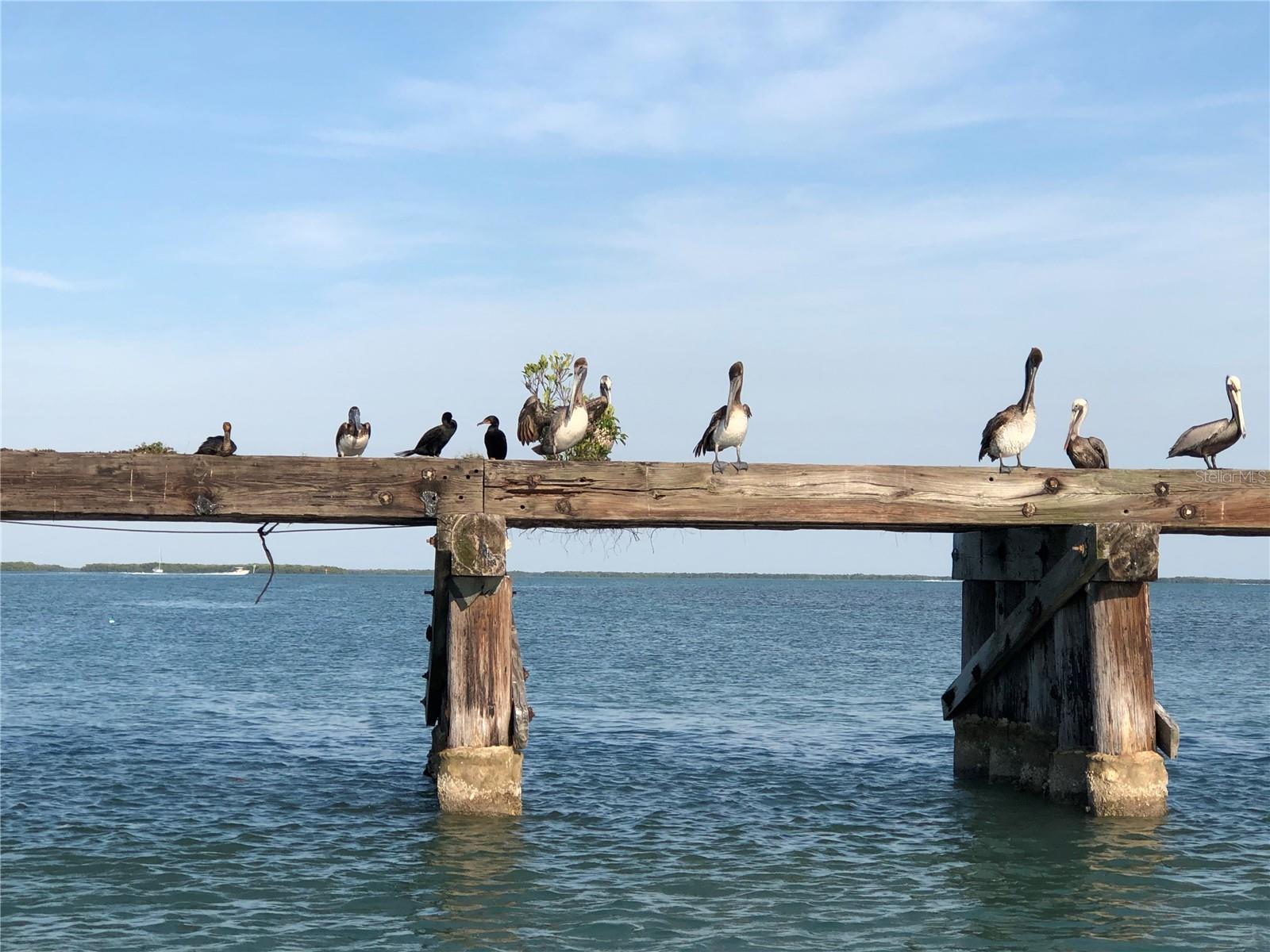 Image 8 of 16 For 6040 Boca Grande Causeway 24