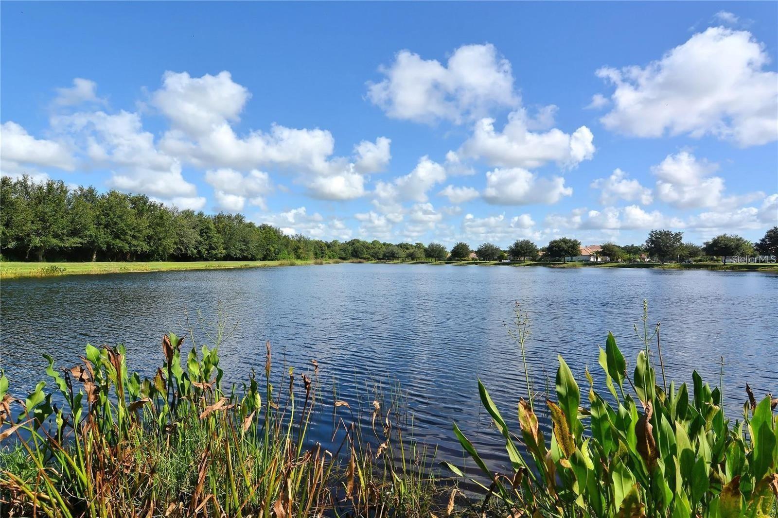 Listing photo id 47 for 12211 Lavender Loop