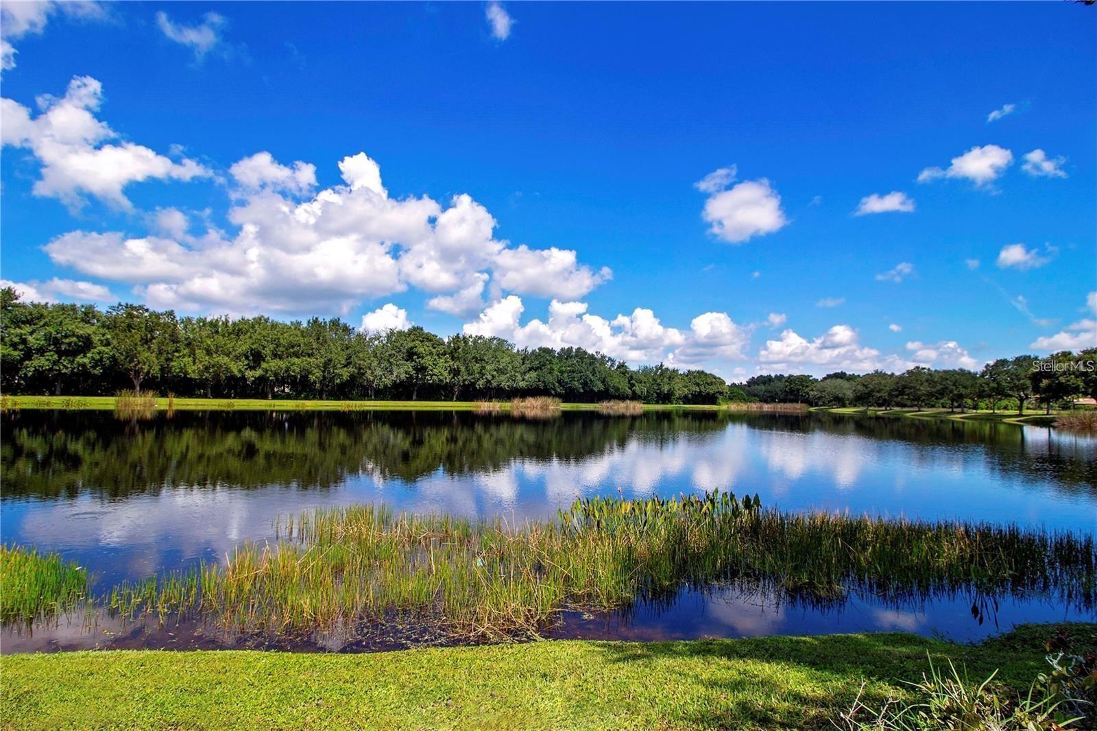 Listing photo id 64 for 12211 Lavender Loop
