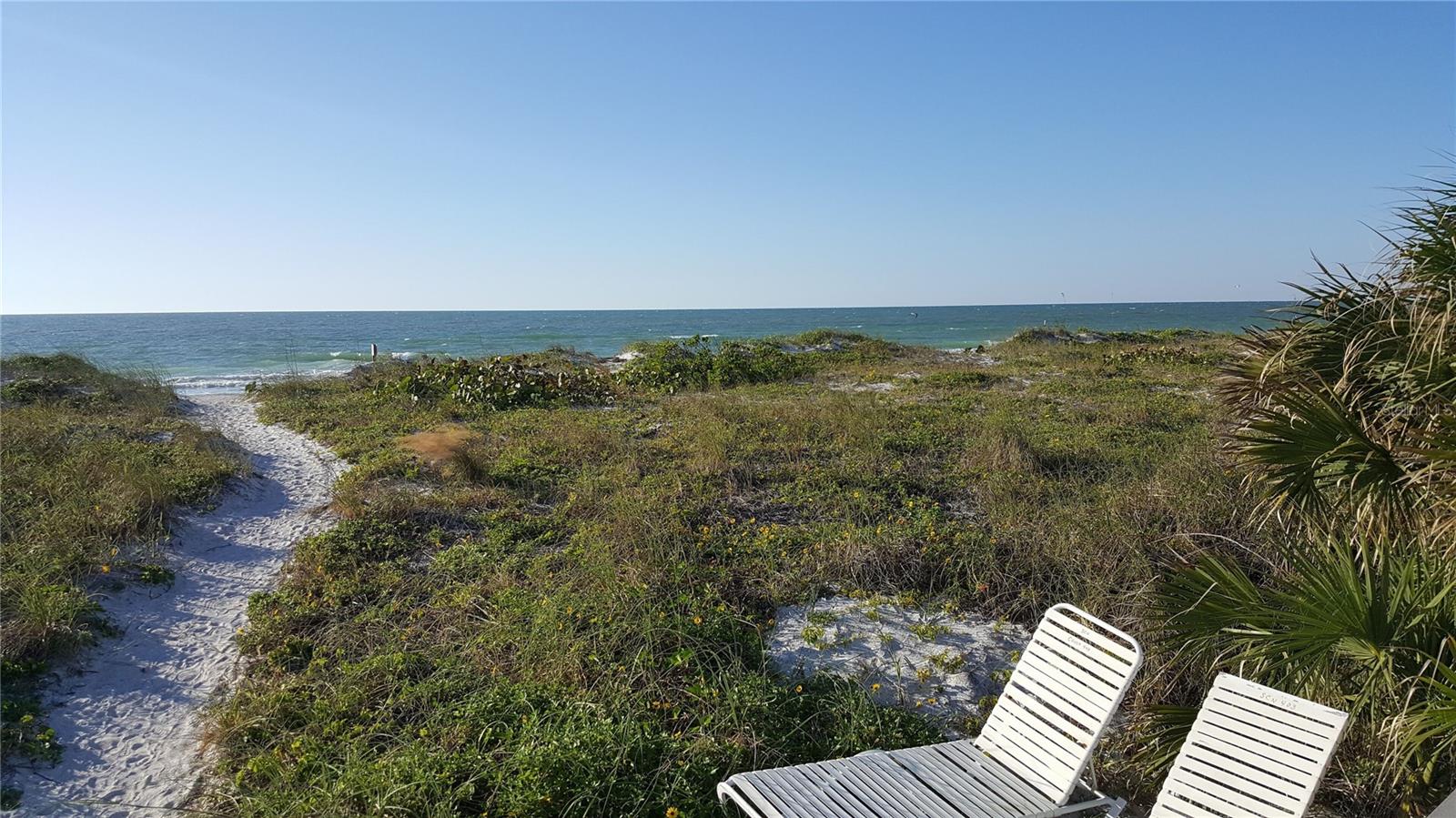 Listing photo id 23 for 1300 Gulf Boulevard 202