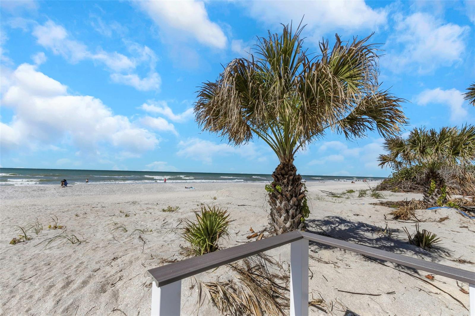 Listing photo id 5 for 1300 Gulf Boulevard 202