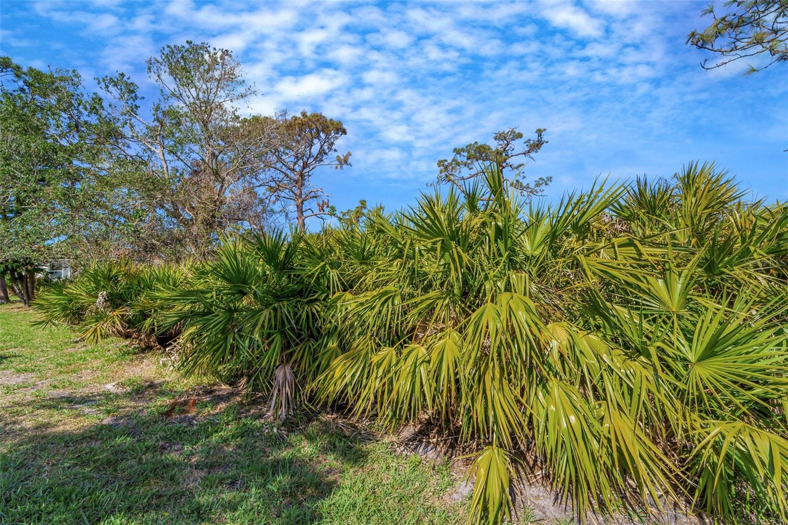 Image 41 of 53 For 4811 Summertree Road