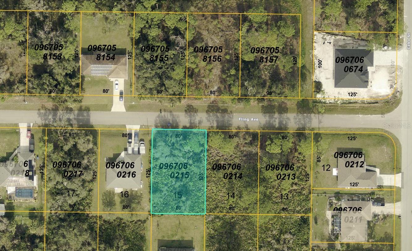Details for Fling Avenue, NORTH PORT, FL 34291