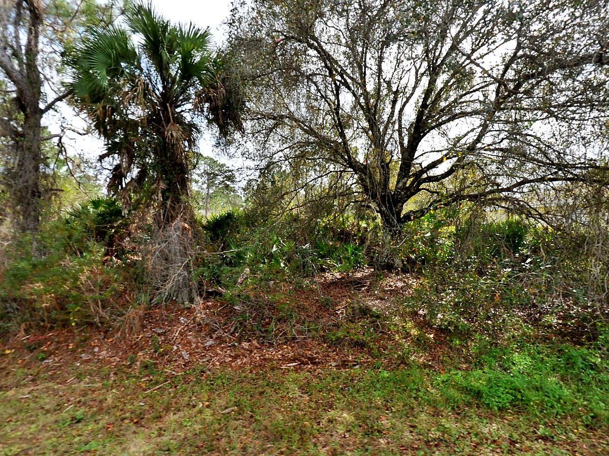 Image 2 of 2 For Fling Avenue