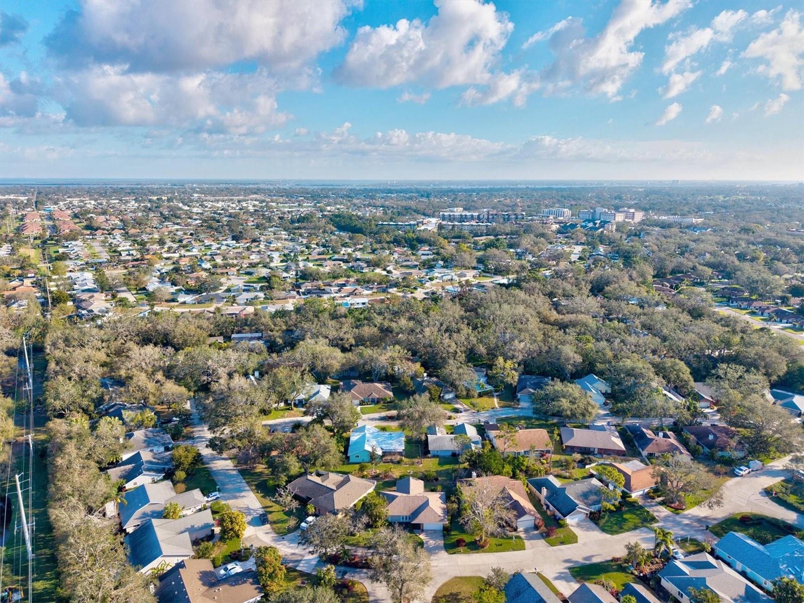 Image 53 of 64 For 6929 Arbor Oaks Circle