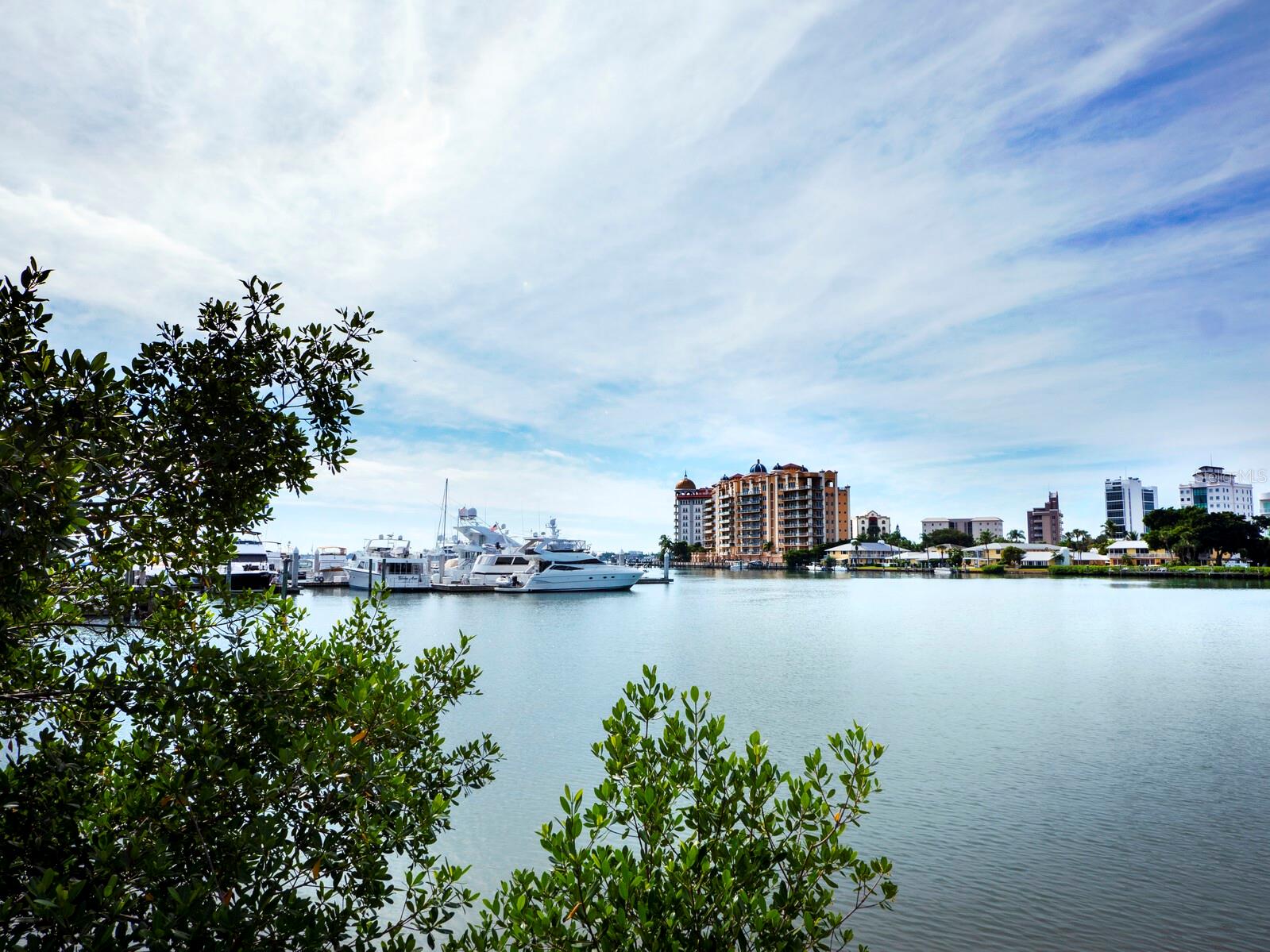 Listing photo id 36 for 1255 Gulfstream Avenue 407