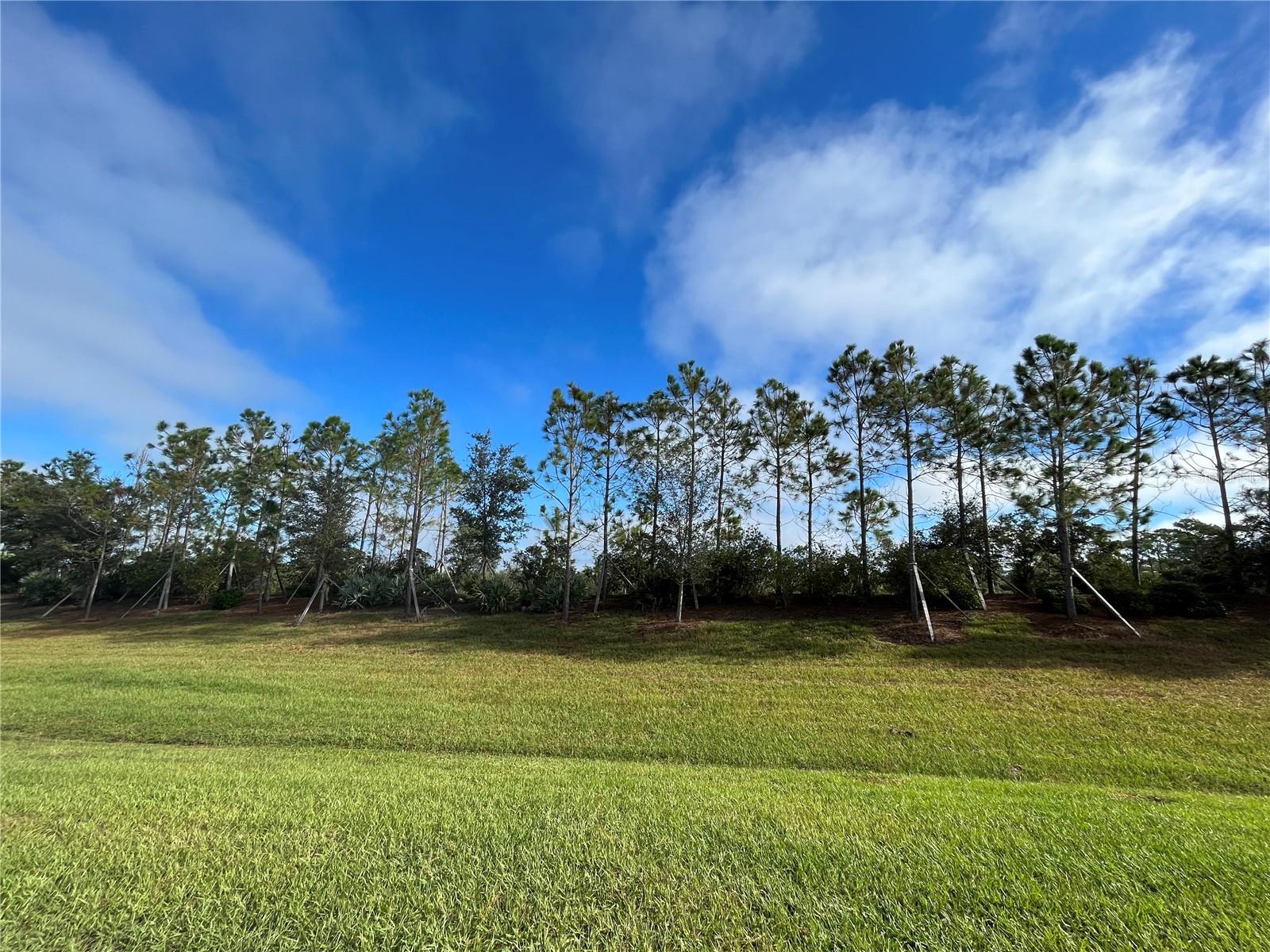 Image 27 of 39 For 13149 Steinhatchee Loop