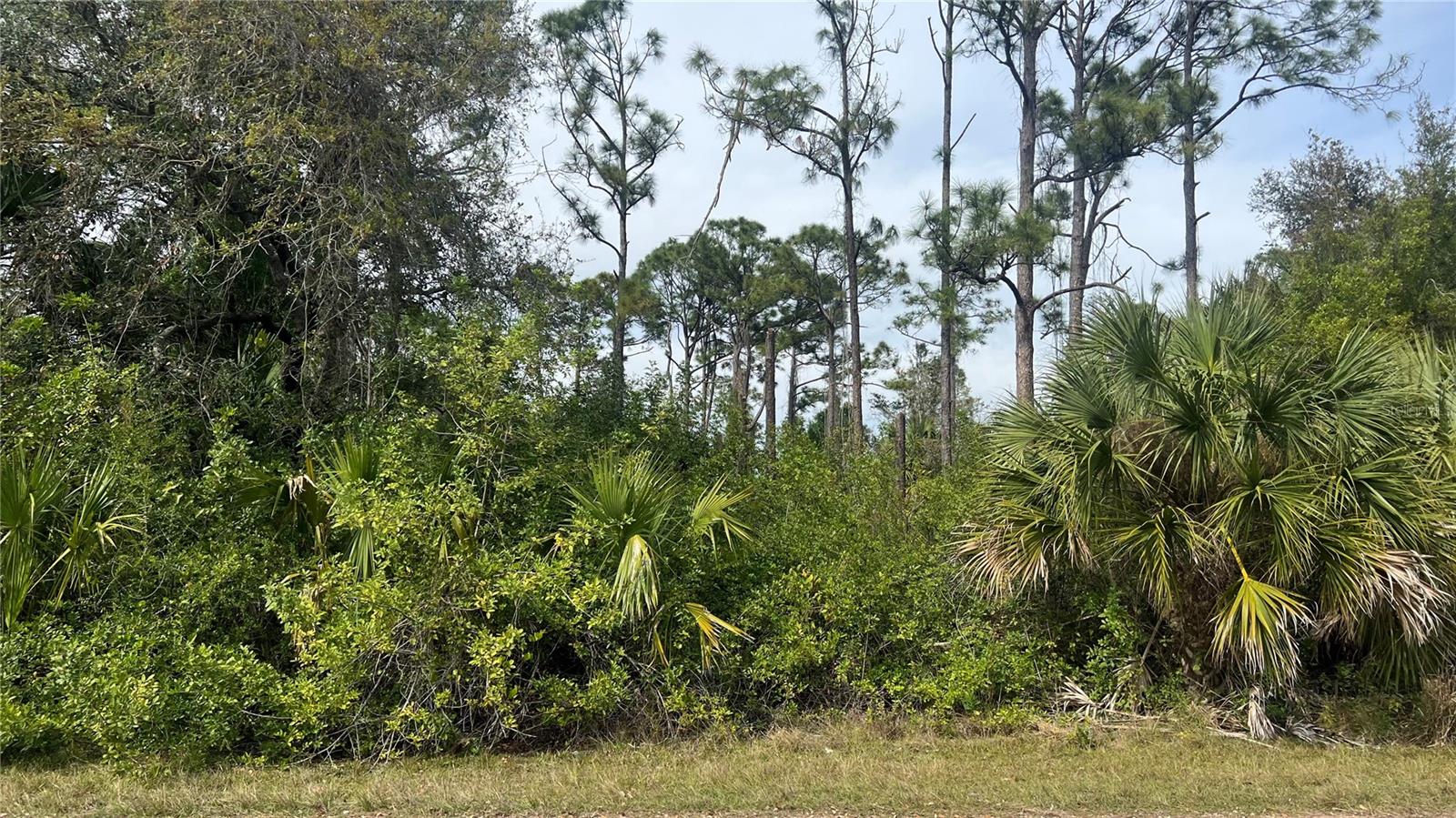 Details for Sawyer Circle, NORTH PORT, FL 34288