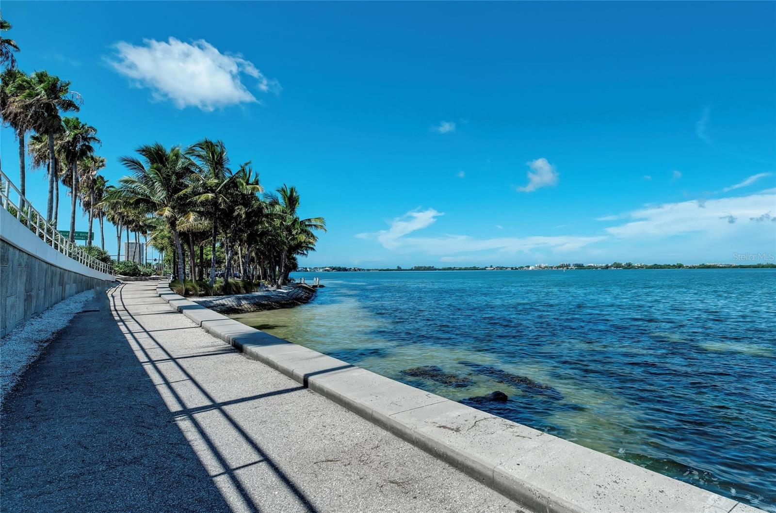 Image 92 of 94 For 750 Tamiami Trail 814
