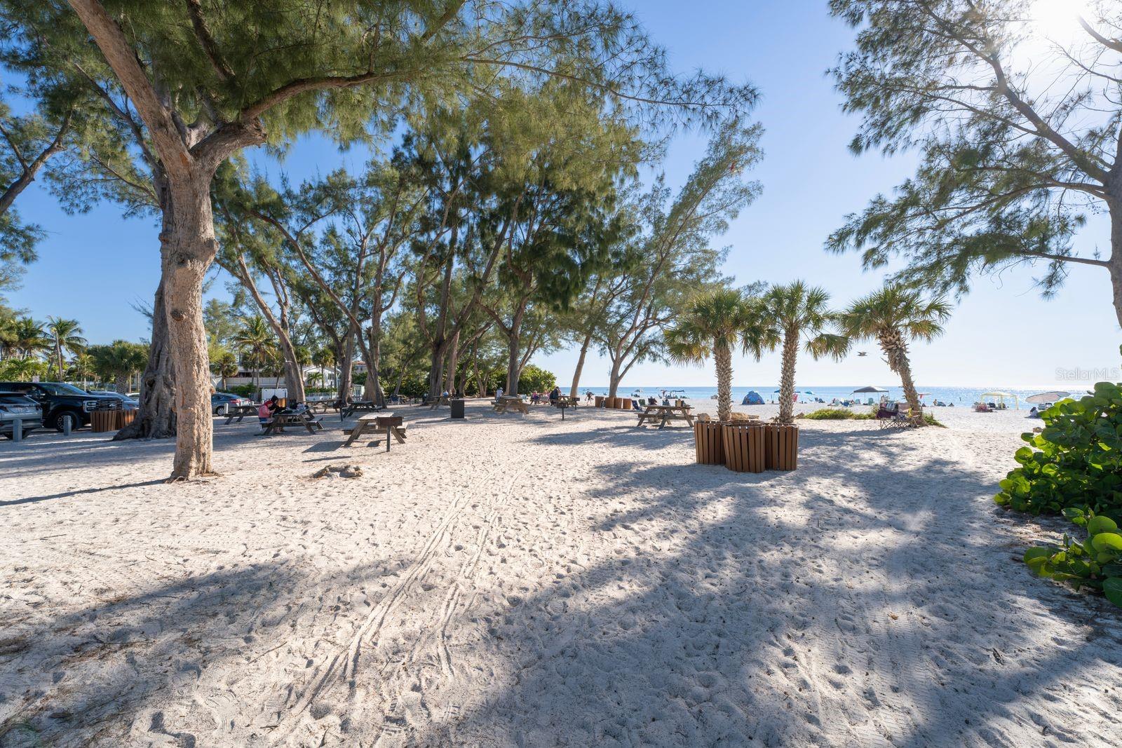 Image 51 of 53 For 313 Magnolia Avenue