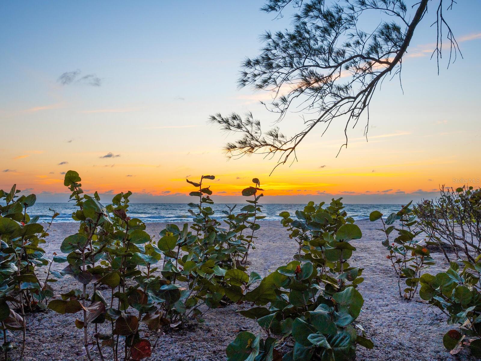 Image 55 of 60 For 1216 Casey Key Road