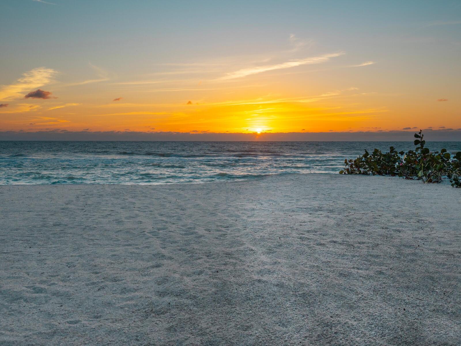 Image 56 of 60 For 1216 Casey Key Road