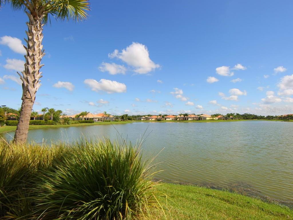 Image 53 of 56 For 5962 Roseto Place