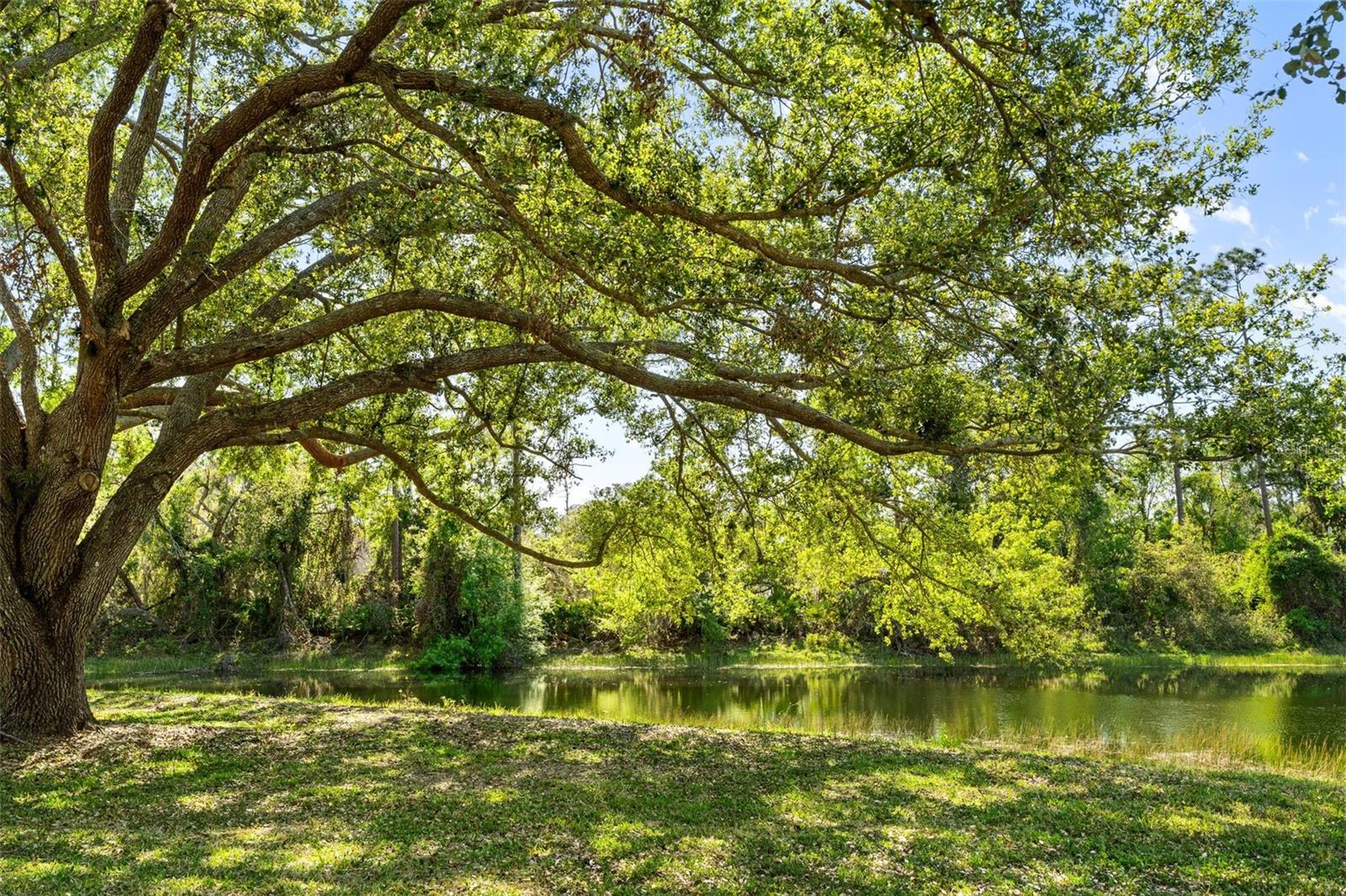 Image 35 of 41 For 7300 Wax Myrtle Way