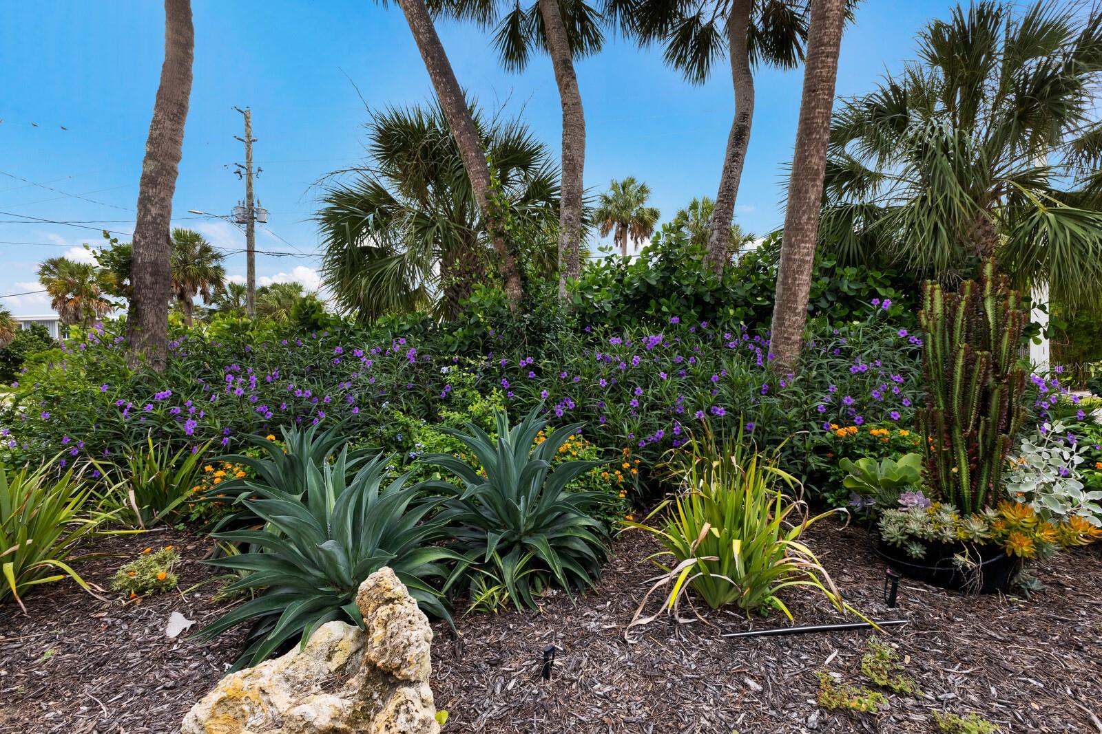 Image 35 of 66 For 807 Bay Boulevard