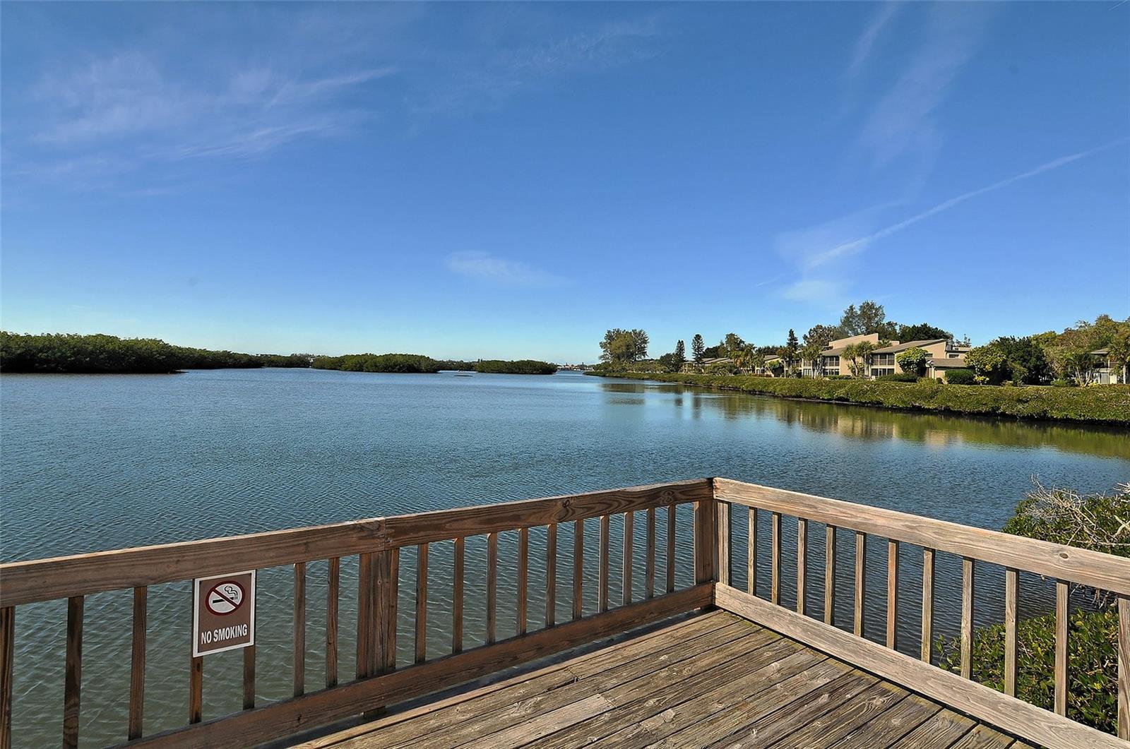 Image 57 of 67 For 1633 Boathouse Circle Ha132