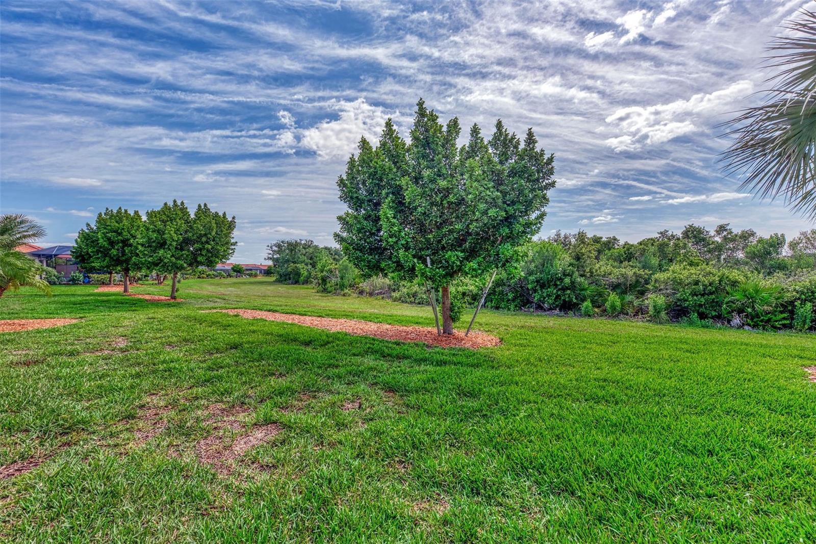 Image 40 of 42 For 10113 Fiddlewood Drive