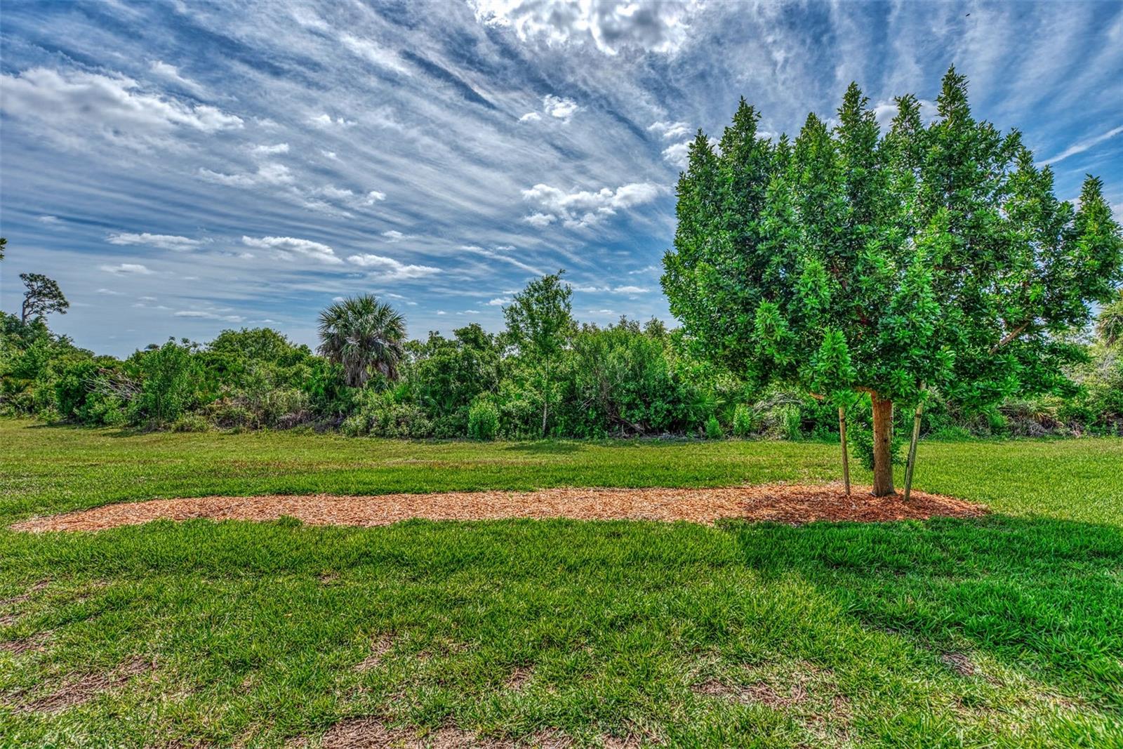 Image 42 of 42 For 10113 Fiddlewood Drive