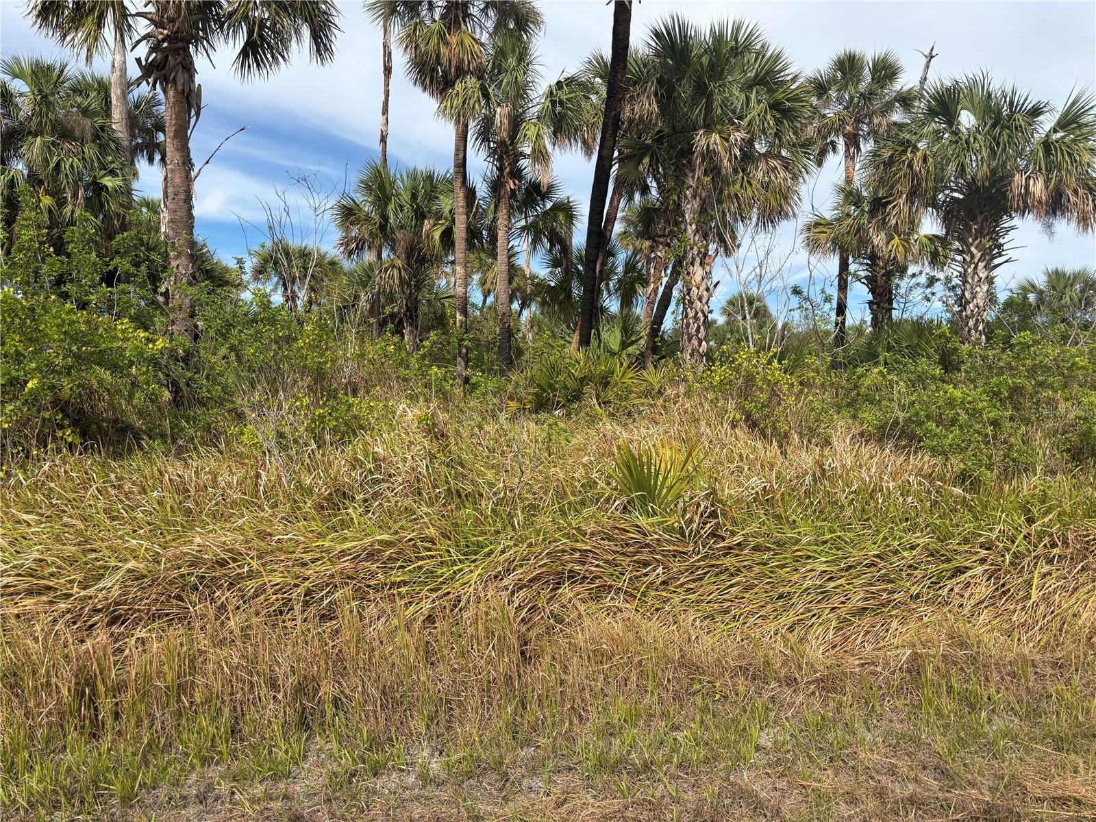 Listing Details for Largeleaf Street, NORTH PORT, FL 34288
