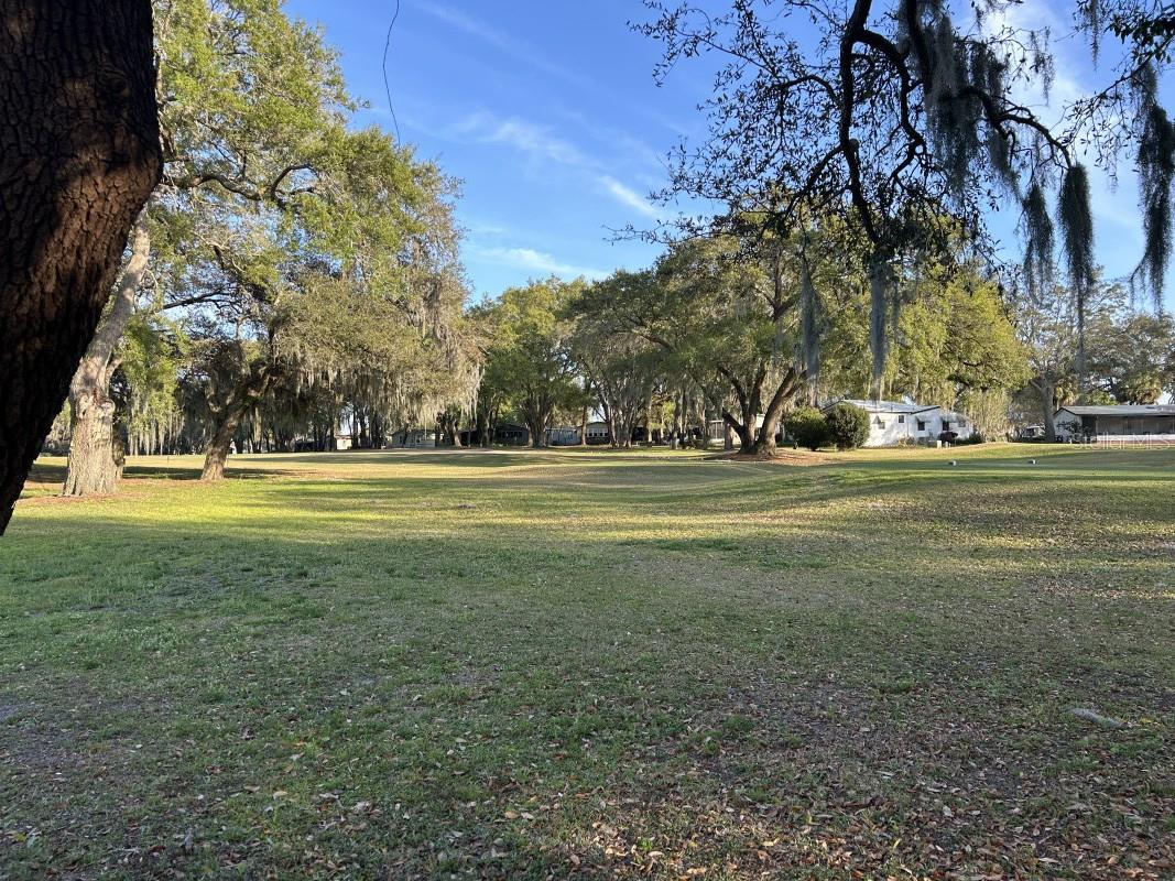 Image 13 of 13 For 910 Orchid Street