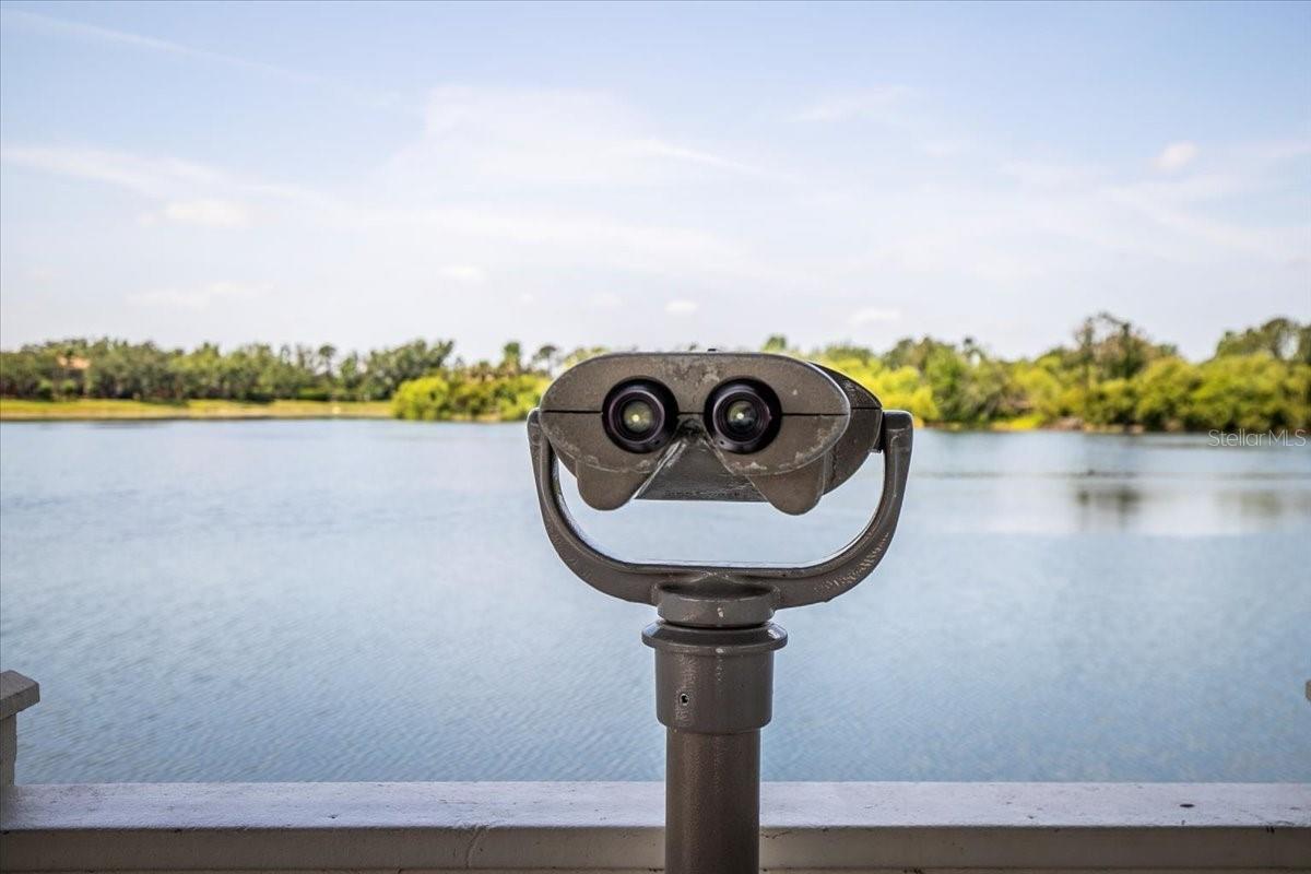 Image 35 of 43 For 11790 Fennemore Way