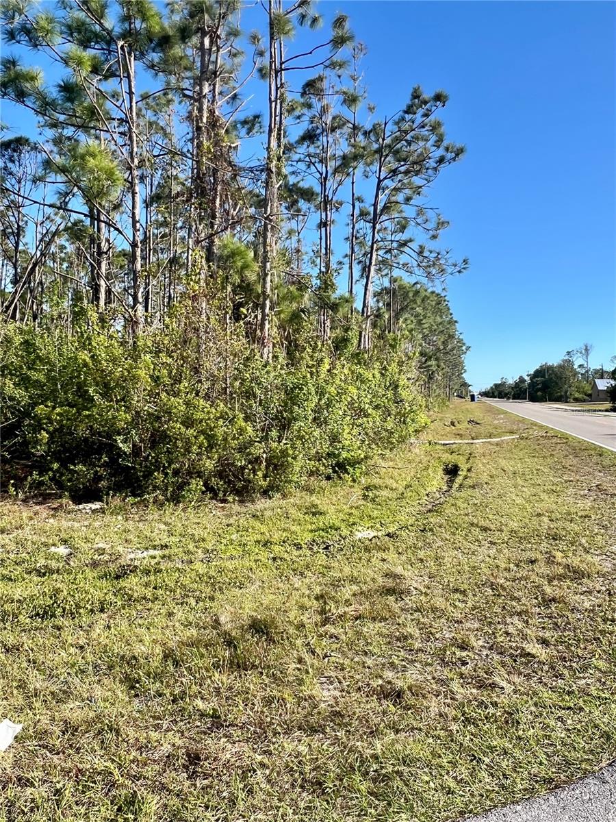 Image 13 of 26 For 15249 Red Head Avenue